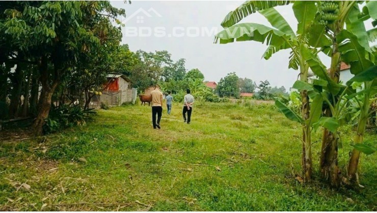 Bán lô đất rẻ nhất khu vực xã Ngọc Thanh - Thành Phố Phúc yên . 