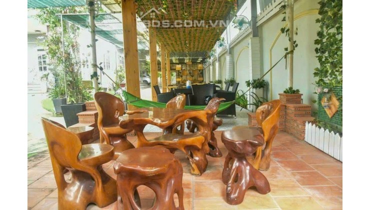 CHỦ NGỘP BÁN BIỆT THỰ NHÀ VƯỜN  1583M2 ĐÀO SƯ TÍCH NHỈNH 65 TỶ TL