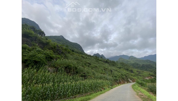 Cắt lỗ mảnh đất ở Quảng Bạ, Hà Giang tổng diện tích 3800m2 giá siêu đẹp