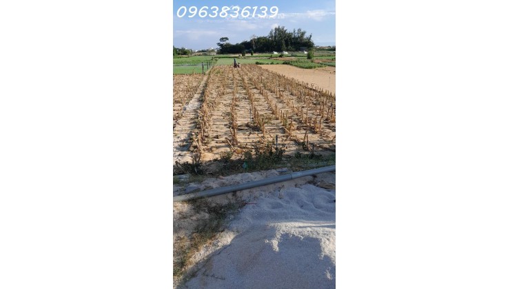 Bán thửa đất quy hoạch đất ở. Mặt đường 12m, trục chính đảo Lý Sơn, Quảng Ngãi