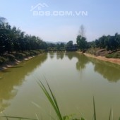 Gần 1,4ha tại Tân Phú - Đồng nai, có 88m mặt tiền đường nhựa rộng 10m. Quy hoạch đất ở 3,5 xào, Có gần 400m TC, trên đất có nhà cấp bốn; có ao cá rộng hơn 2 xào và đang trồng 100 cây sầu riêng, 300 cây bưởi, 300 cây mít tất cả đều cho thu. Giá 10 tỷ LH 09