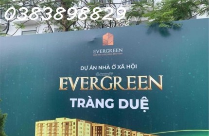 Bán nhà ở xã hội EverGreen Tràng Duệ, An Dương, Hải Phòng - 1 phòng ngủ