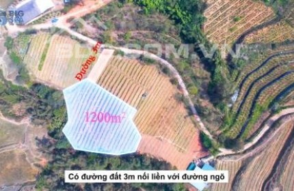 Cắt lỗ mảnh đất ở Sapa diện tích 1200m2, view săn mây và ruộng bậc thang cực mê