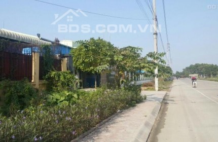 Cần bán gấp đất khu công nghiệp tại Phú Xuyên, Hà Nội có 15.000m2 xưởng.