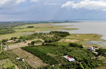 Cần bán 7.3ha đất giáp hồ Trị An phù hợp làm khu nghỉ dưỡng