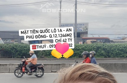 Mặt tiền Quốc lộ 1A – An Phú Đông- Q.12, 1246m2 chỉ 42 tỷ