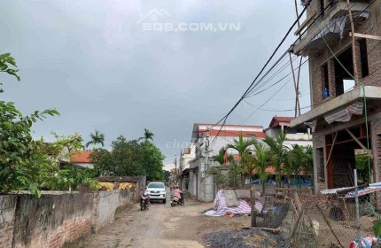 Bán đất đẹp giá rẻ 800m2 xã Chương Dương, Thường Tín.