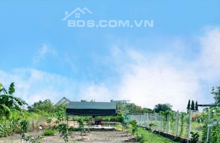 BÁN ĐẤT TCLN 1000M2= 5.5 TỶ HƯNG LONG BÌNH CHÁNH- THÍCH HỢP XÂY BIỆT THỰ VƯỜN