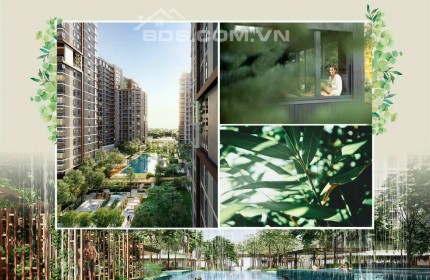 Dự án Elysian - Gamuda Land có hồ bơi đa năng gần 1000m2