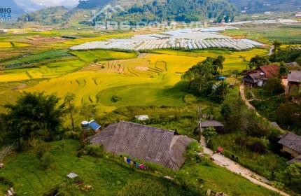 Bán mảnh đất 1310m2, view ruộng bậc thang ở Tả Phìn, SaPa