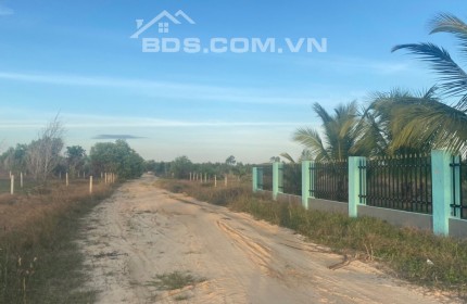 Đất gần biển 9000m đường số 1 rừng vàng xã Tân Bình Thị xã Lagi phủ hồng 1,38 triệu/m2