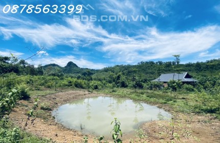 BÁN 3.5ha ĐẤT TRANG TRẠI NGHỈ DƯỠNG.  KIM BÔI.HOÀ BÌNHI.VIEW THUNG LŨNG