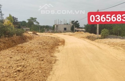 đất nền phân lô khu dan cư thọ bình triệu sơn diện tích 200m2