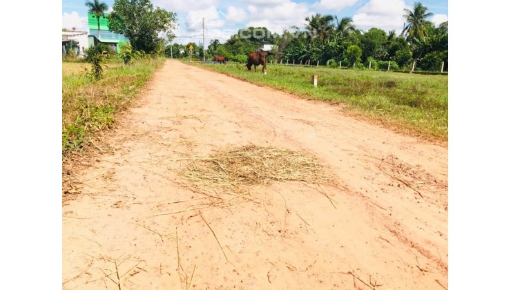 Tân Hòa - Đồng Phú. Đất giáp tuyến 2. 1000m2 lên thổ cư được