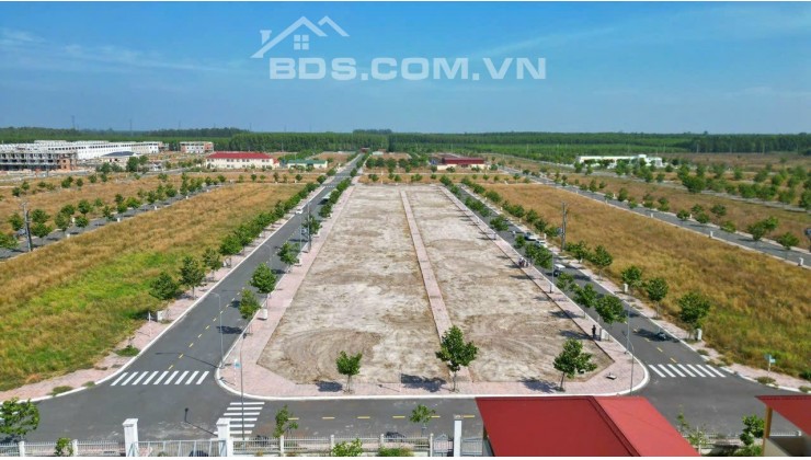 cần bán lô đất nền tại Nam An Bàu Bàng 100m2 giá chỉ 1 Tỷ 550