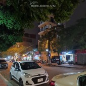 Bán Biệt thự Việt Hưng, phố Lưu Khánh Đàm, DT245m, lô góc, Kinh doanh