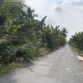 Chính chủ bán đất Long Hoà, nền 2 mặt tiền đường, 134m2 có 50m2 thổ cư, gần KCN Phú Thuận, Bình Đại