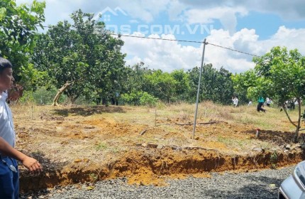 Do chú tôi tuổi đã cao nên cần bán lô đất để về quê