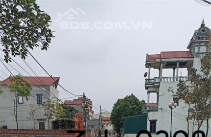 Đất đẹp Đông Anh cho người thu nhập thấp