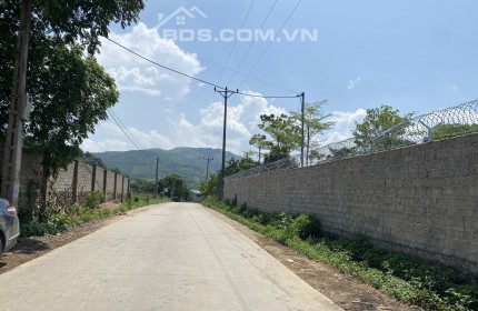 View đỉnh cao, đảo trong cánh đồng, diện tích nhỏ 560m dễ mua, đường to