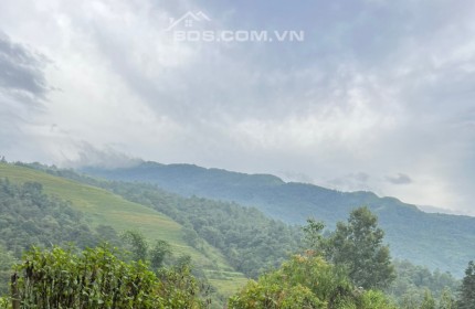 Cắt lỗ mảnh đất đẹp ở Y Tý diện tích 1200m2 view ruộng bậc thang