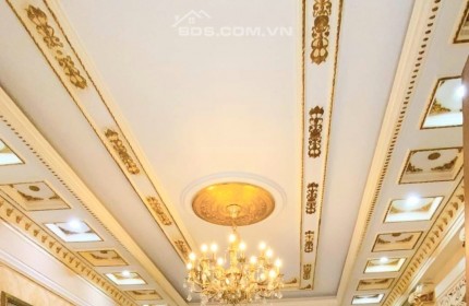 ĐẲNG CẤP ĐẠI GIA - BIỆT THỰ SIÊU VIP 6 TẦNG (8x35m) - BÌNH TÂN - NỘI THẤT NHẬP KHẨU CAO CẤP - SÁT VÁCH TÂN PHÚ - 45 TỶ