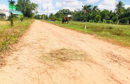 Tân Hòa - Đồng Phú. Đất giáp tuyến 2. 1000m2 lên thổ cư được