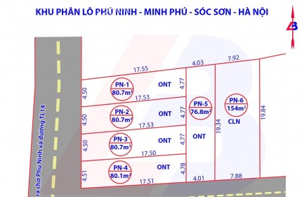 ĐẤT PHÂN LÔ GIÁ RẺ