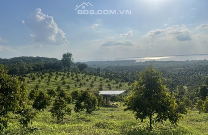 Siêu phầm đất nền tại đồng nai view hồ trị an