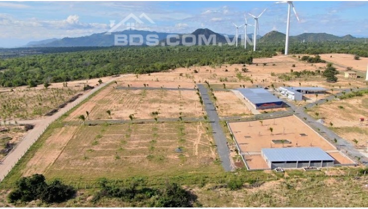 Bán nhanh 7800m2 đất Farm Tuy Phong view biển Bình Thuận sổ sẵn công chứng ngay