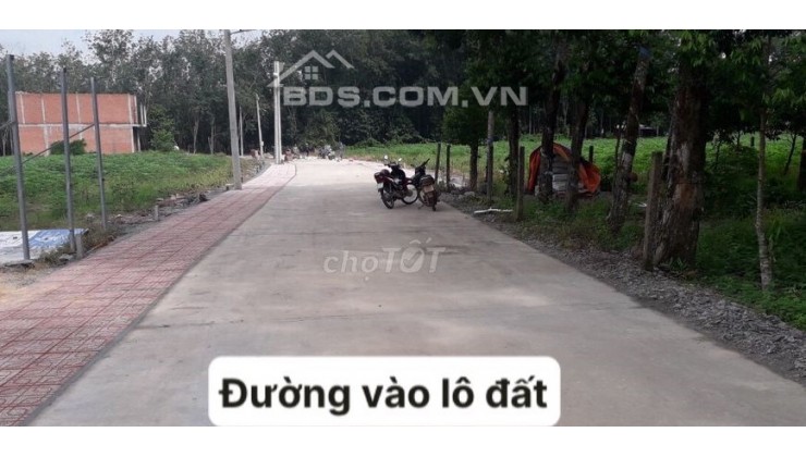 Bán gấp lô đất 250m2, sổ hồng chính chủ, công chứng trong ngày