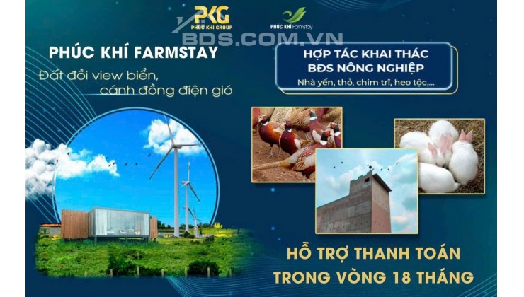 Bán nhanh 3900m2 đất Farm Tuy Phong sổ hồng riêng view biển Bình Thuận chỉ 390k/m2