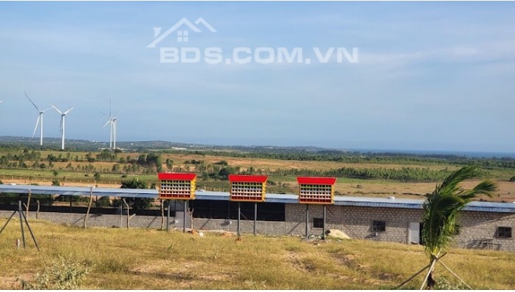 Bán nhanh 7800m2 đất Farm Tuy Phong view biển Bình Thuận sổ sẵn công chứng ngay