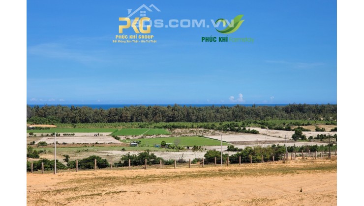 Phúc Khí Farmstay 5400m2 sổ hồng riêng view biển Tuy Phong, Bình Thuận giá chỉ 390k/m2