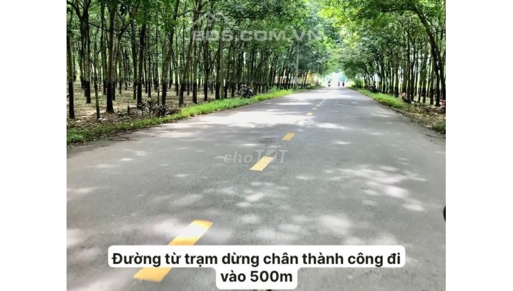 Bán gấp lô đất 250m2, sổ hồng chính chủ, công chứng trong ngày