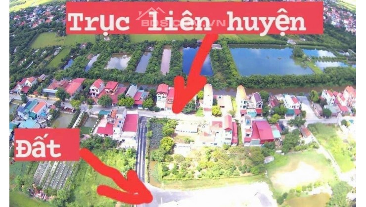 Bán đất Giãn dân tại Nguyễn Trãi, Ân Thi, Hưng Yên