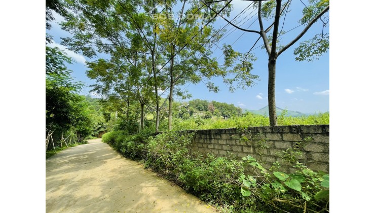 Bán 4400m2 đất nghỉ dưỡng Tiến Xuân, sát Maya School, View cao thế thoáng. Lh 0984.23.5555