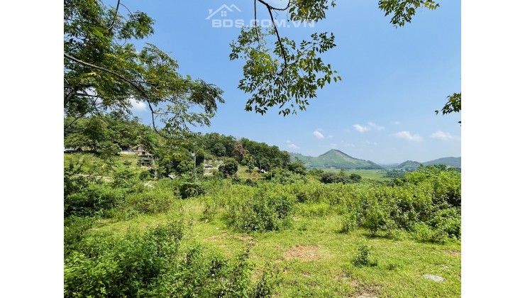 Bán 4400m2 đất nghỉ dưỡng Tiến Xuân, sát Maya School, View cao thế thoáng. Lh 0984.23.5555