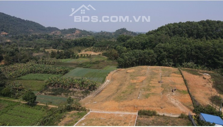 Đất Yên Bình, Thạch Thất, 8000m2 đất ở 1400m2, gần đại lộ Thăng Long, giá chỉ 5tr/m2. LH 0984.23.5555