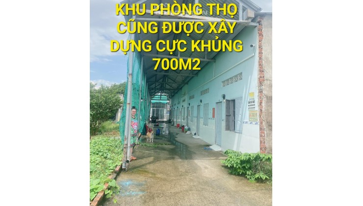 NGỘP - 2168m2 giá Trên 20 tỷ QL22 KCN Tân Phú Trung Củ Chi TPHCM