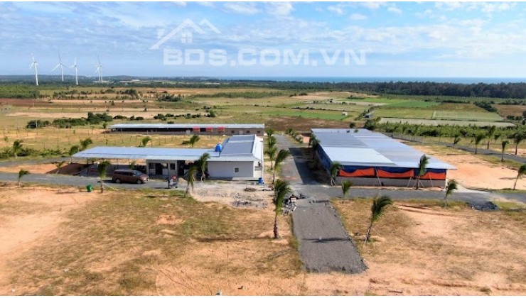 Cần bán đất Tuy Phong Bình Thuận 4700m2 ngay QL1A view biển giá chỉ 390k/m2