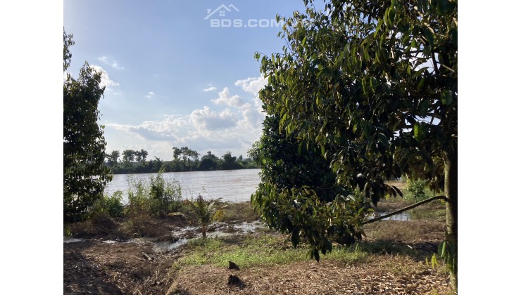✅Bán Gấp Homestay view Sông Đồng Nai, Huyện Tân Phú
