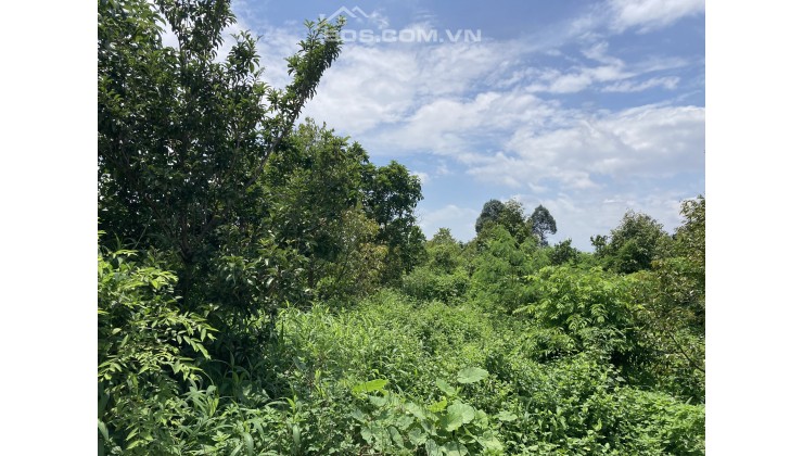 Bán đất mẫu xã Phú Bình, Huyện Tân Phú, Đồng Nai