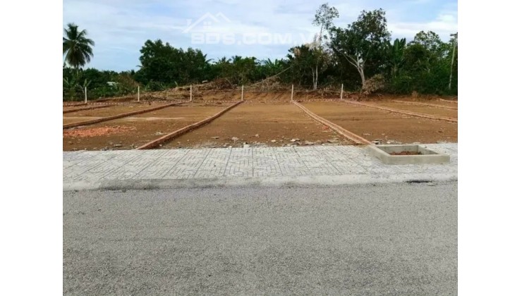 BÁN GẤP 500M2 SÁT QUỐC LỘ SỔ RIÊNG EM CHÍNH CHỦ ĐÂY Ạ