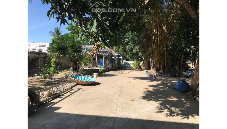 Nhà Vườn 2mt Phước Trung II - Phước Đồng - Nha Trang - Khánh Hòa