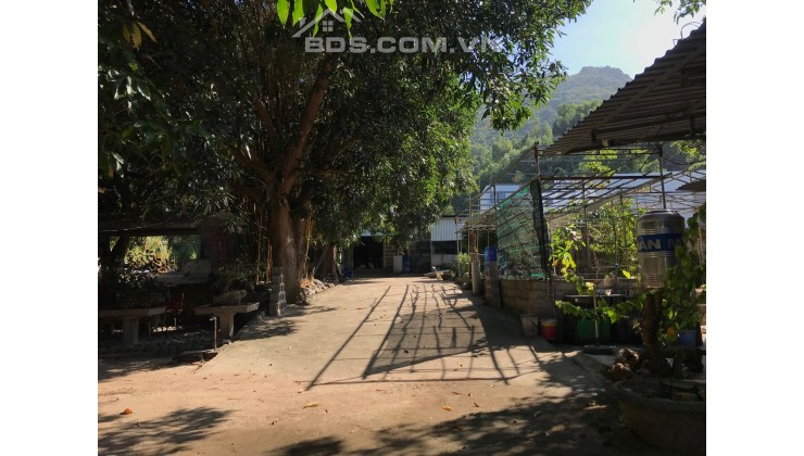 Nhà Vườn 2mt Phước Trung II - Phước Đồng - Nha Trang - Khánh Hòa