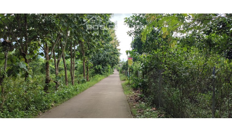 ✅Bán lô đất đẹp xã Phú Bình, Tân Phú, Đồng Nai - giá 4 Tỷ