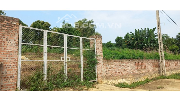 Chính chủ cần bán 1900m2 đất vuông te,mặt tiền hơn 40m đối diện khu phân lô Đồng Bèn Đông Xuân Quốc Oai