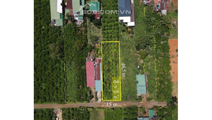 Bán 698m2 đất có 100m2 thổ cư tại P.Lộc Tiến, Tp.Bảo Lộc, SHR, 300tr/m. Lh:0935083778