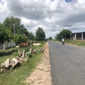 bán đất thổ cư gần biển thị xã LaGi, 10x50 Nguyễn Thông, Tân Bình. Giá NGợp